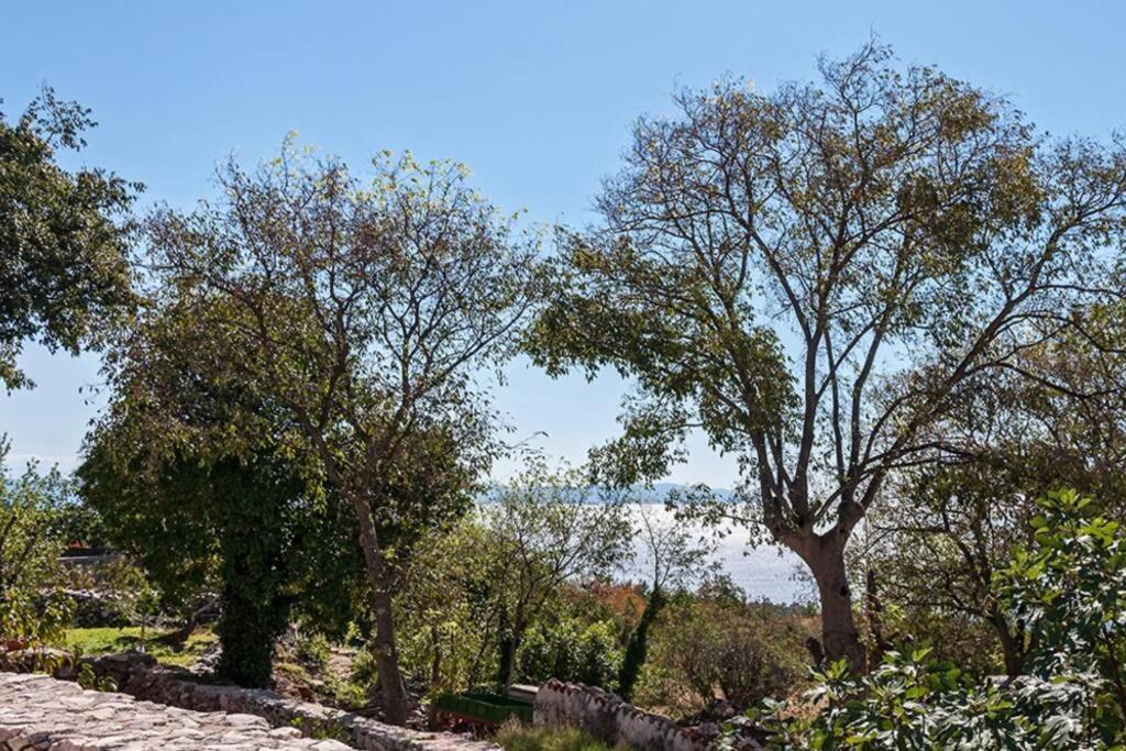 Peaceful Apartment With Beautiful Sea View Rabac Zewnętrze zdjęcie